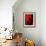 Luscious Red-Ruth Palmer 2-Framed Art Print displayed on a wall