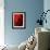 Luscious Red-Ruth Palmer 2-Framed Art Print displayed on a wall