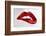 Luscious Red-Sarah McGuire-Framed Photo