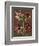 Lush Amaryllis I-Van Houtt-Framed Premium Giclee Print