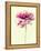 Lush Botanical I-Judy Stalus-Framed Premier Image Canvas