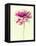 Lush Botanical I-Judy Stalus-Framed Premier Image Canvas