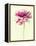 Lush Botanical I-Judy Stalus-Framed Premier Image Canvas