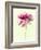 Lush Botanical I-Judy Stalus-Framed Photographic Print