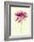 Lush Botanical I-Judy Stalus-Framed Photographic Print