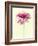 Lush Botanical I-Judy Stalus-Framed Photographic Print