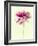 Lush Botanical I-Judy Stalus-Framed Photographic Print