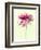 Lush Botanical I-Judy Stalus-Framed Photographic Print