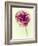 Lush Botanical II-Judy Stalus-Framed Photographic Print