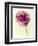 Lush Botanical II-Judy Stalus-Framed Photographic Print