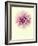 Lush Botanical III-Judy Stalus-Framed Photographic Print