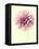 Lush Botanical III-Judy Stalus-Framed Premier Image Canvas