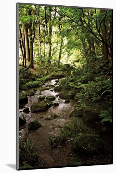 Lush Creek in Forest-Debra Van Swearingen-Mounted Photographic Print