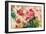 Lush Garden Trio I-Silvia Vassileva-Framed Art Print