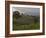 Lush Green Landscape between Bonga and Mizan Teferi, Ethiopia-Janis Miglavs-Framed Photographic Print