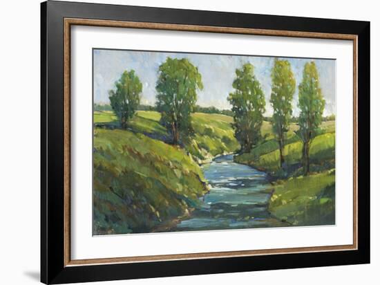 Lush Landscape III-Tim OToole-Framed Art Print