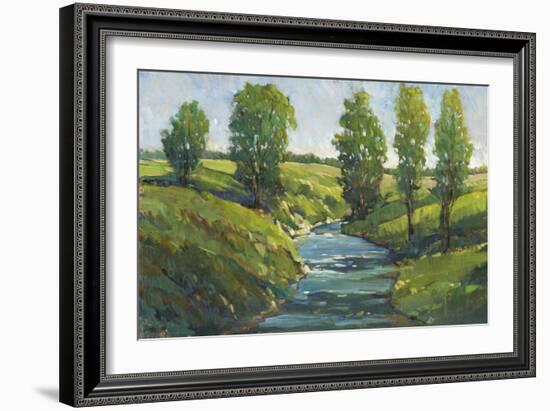 Lush Landscape III-Tim OToole-Framed Art Print