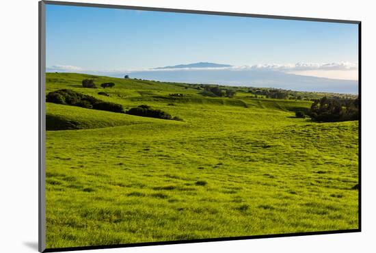 Lush pasture land, Waimea, Big Island, Hawaii-Mark A Johnson-Mounted Photographic Print