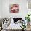 Lush Poppy-Brent Heighton-Art Print displayed on a wall