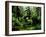 Lush rain forest bordering Prince William Sound-Werner Forman-Framed Giclee Print