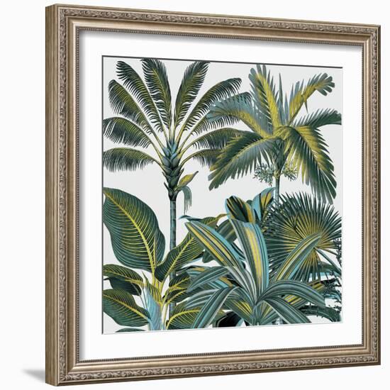 Lush Solstice-Tania Bello-Framed Giclee Print