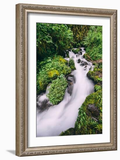 Lush Spring Creek, Columbia River Gorge, Oregon-Vincent James-Framed Photographic Print