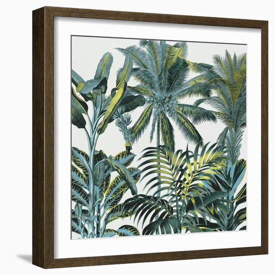 Lush Tropics-Tania Bello-Framed Giclee Print