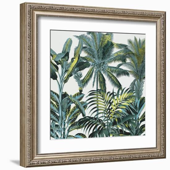 Lush Tropics-Tania Bello-Framed Art Print