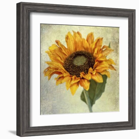 Lush Vintage Florals I-Honey Malek-Framed Art Print