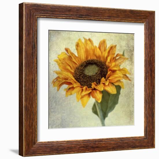 Lush Vintage Florals I-Honey Malek-Framed Art Print