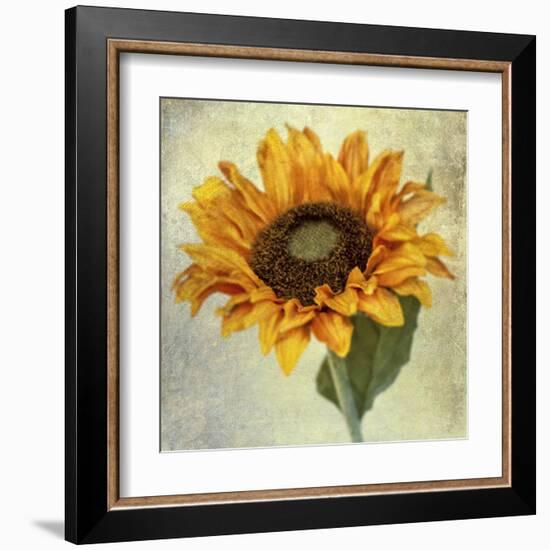 Lush Vintage Florals I-Honey Malek-Framed Art Print