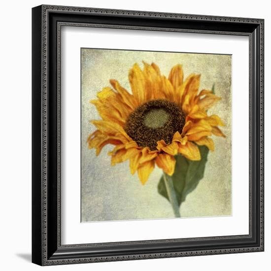 Lush Vintage Florals I-Honey Malek-Framed Art Print