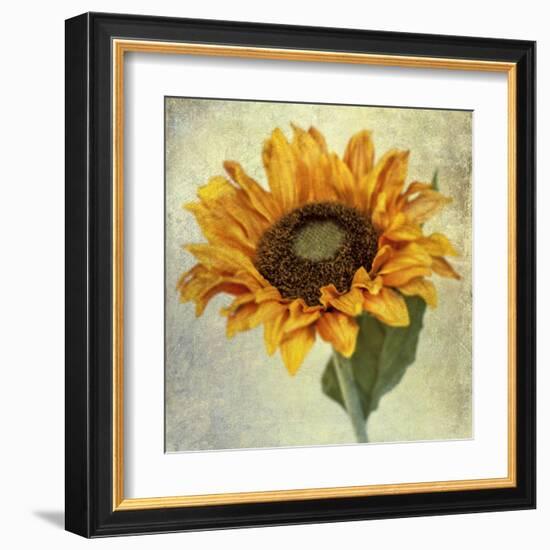 Lush Vintage Florals I-Honey Malek-Framed Art Print