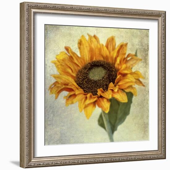 Lush Vintage Florals I-Honey Malek-Framed Art Print