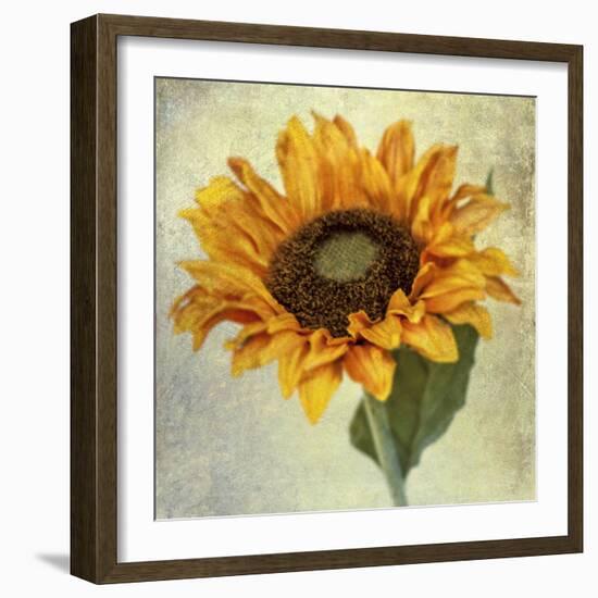 Lush Vintage Florals I-Honey Malek-Framed Art Print