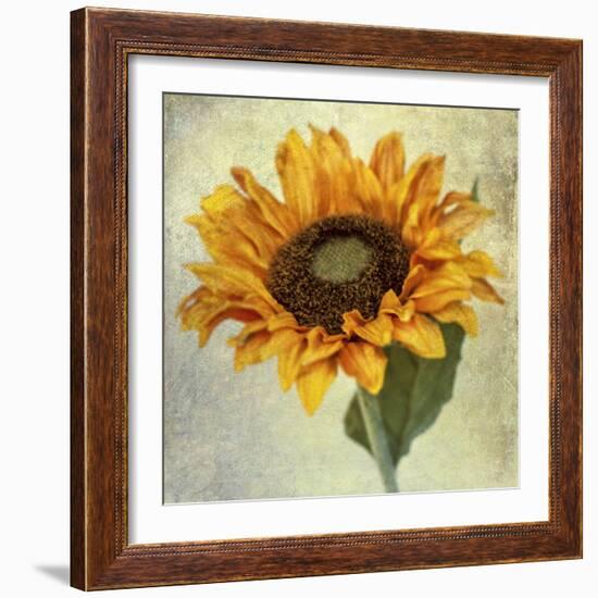 Lush Vintage Florals I-Honey Malek-Framed Art Print