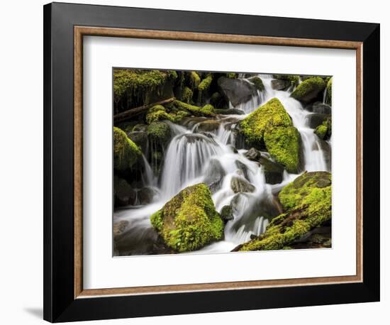 Lush Waterfall, Olympic National Park, Washington, USA-Tom Norring-Framed Photographic Print