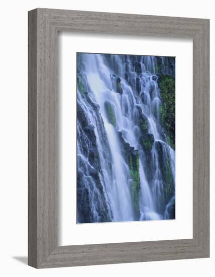 Lush Waterfall-DLILLC-Framed Photographic Print