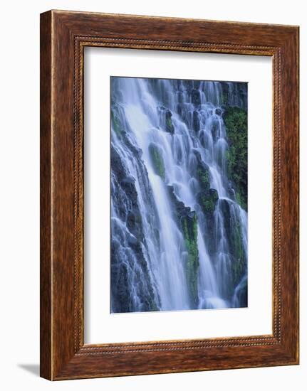 Lush Waterfall-DLILLC-Framed Photographic Print
