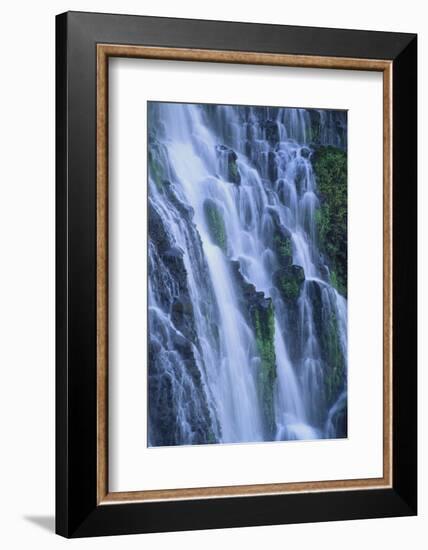 Lush Waterfall-DLILLC-Framed Photographic Print