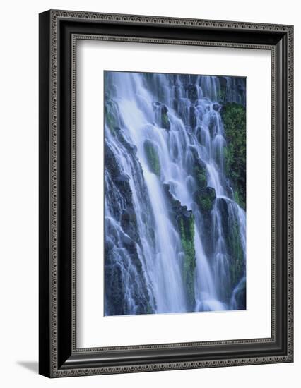 Lush Waterfall-DLILLC-Framed Photographic Print