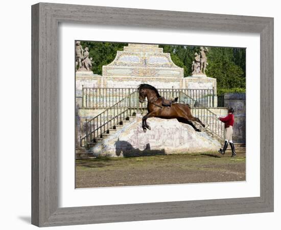 Lusitano Horse, Man Training Stallion In Dressage Steps, The High Leap-Carol Walker-Framed Photographic Print