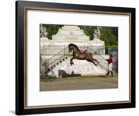 Lusitano Horse, Man Training Stallion In Dressage Steps, The High Leap-Carol Walker-Framed Photographic Print