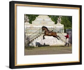 Lusitano Horse, Man Training Stallion In Dressage Steps, The High Leap-Carol Walker-Framed Photographic Print