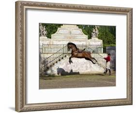 Lusitano Horse, Man Training Stallion In Dressage Steps, The High Leap-Carol Walker-Framed Photographic Print