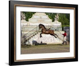 Lusitano Horse, Man Training Stallion In Dressage Steps, The High Leap-Carol Walker-Framed Photographic Print
