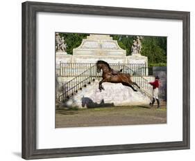 Lusitano Horse, Man Training Stallion In Dressage Steps, The High Leap-Carol Walker-Framed Photographic Print