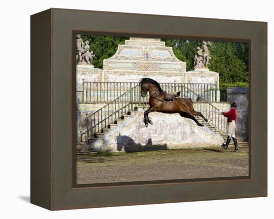 Lusitano Horse, Man Training Stallion In Dressage Steps, The High Leap-Carol Walker-Framed Premier Image Canvas