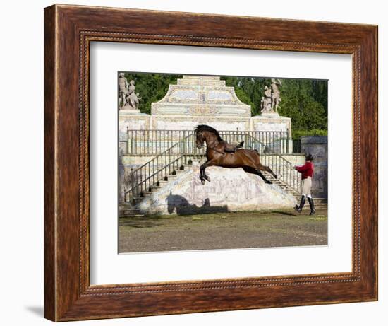 Lusitano Horse, Man Training Stallion In Dressage Steps, The High Leap-Carol Walker-Framed Photographic Print