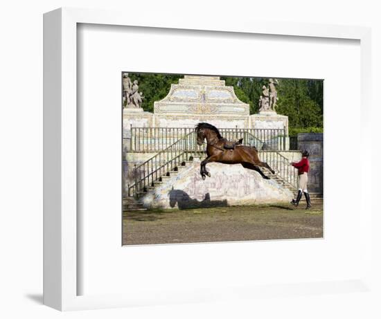 Lusitano Horse, Man Training Stallion In Dressage Steps, The High Leap-Carol Walker-Framed Photographic Print